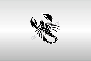 激光打标机摆摊素材  金橙子EZCAD打标专用07蝎子卡通图案