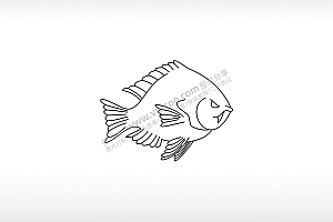吸血鱼恶搞鱼类画鱼鱼线图海洋动物深海品种AI8.0格式激光打标文件通用矢量图