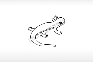 壁虎logo卡通壁虎爬行动物AI8.0格式激光打标文件通用矢量图