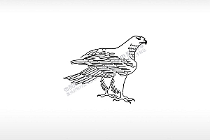 老鹰飞翔自由勇气力量线条图老鹰抓小鸡AI8.0格式激光打标文件通用矢量图