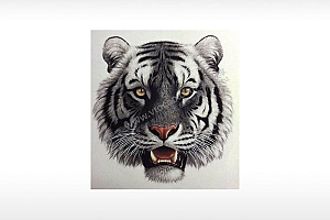 老虎虎头武松打虎威严兽中之王大虫大猫通用位图激光打标文件