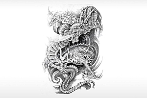 龙龙吐气龙吸气神兽龙吸水通用位图激光打标文件