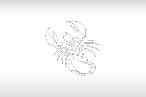 蝎子手机壳个性卡通图案线描PLT格式激光打标文件通用矢量图
