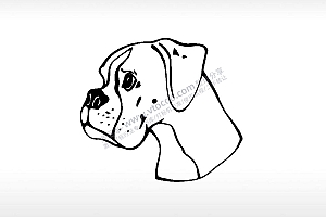 卡斯罗宠物狗牌PLT格式激光打标文件通用矢量图