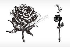 玫瑰花束梳子日常用品AI8.0格式激光打标文件通用矢量图