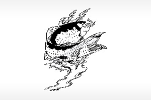 锦鲤好运富贵戏水飞禽走兽PLT格式激光打标文件通用矢量图