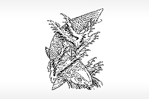 锦鲤好运和富贵戏水飞禽走兽PLT格式激光打标文件通用矢量图