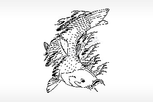 锦鲤好运莲花荷塘飞禽走兽PLT格式激光打标文件通用矢量图