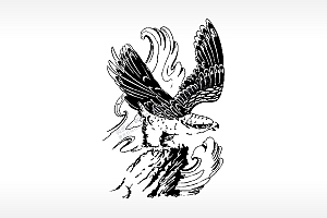 高瞻远瞩老鹰猛禽飞禽走兽PLT格式激光打标文件通用矢量图